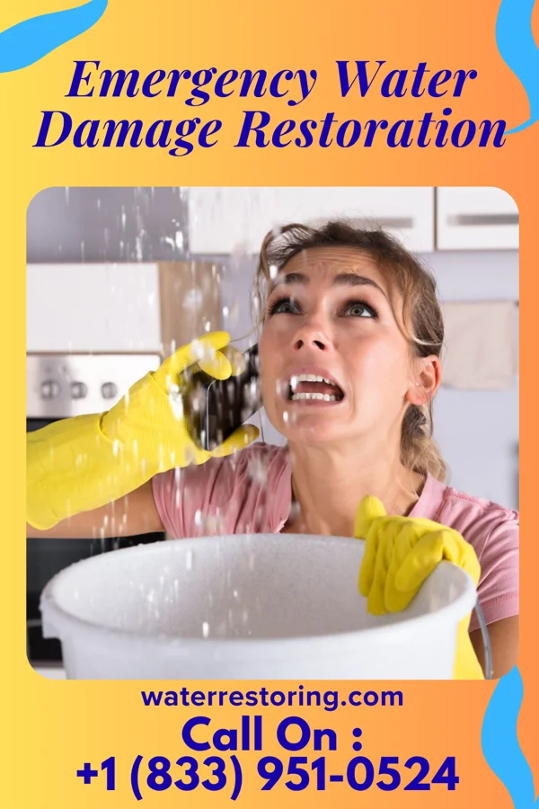 Emergency Water Damage Restoration in Walton, KS