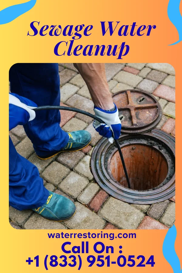Sewage Water Cleanup in Walton, KS